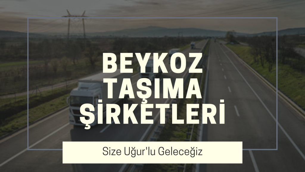 Beykoz Taşıma Şirketleri